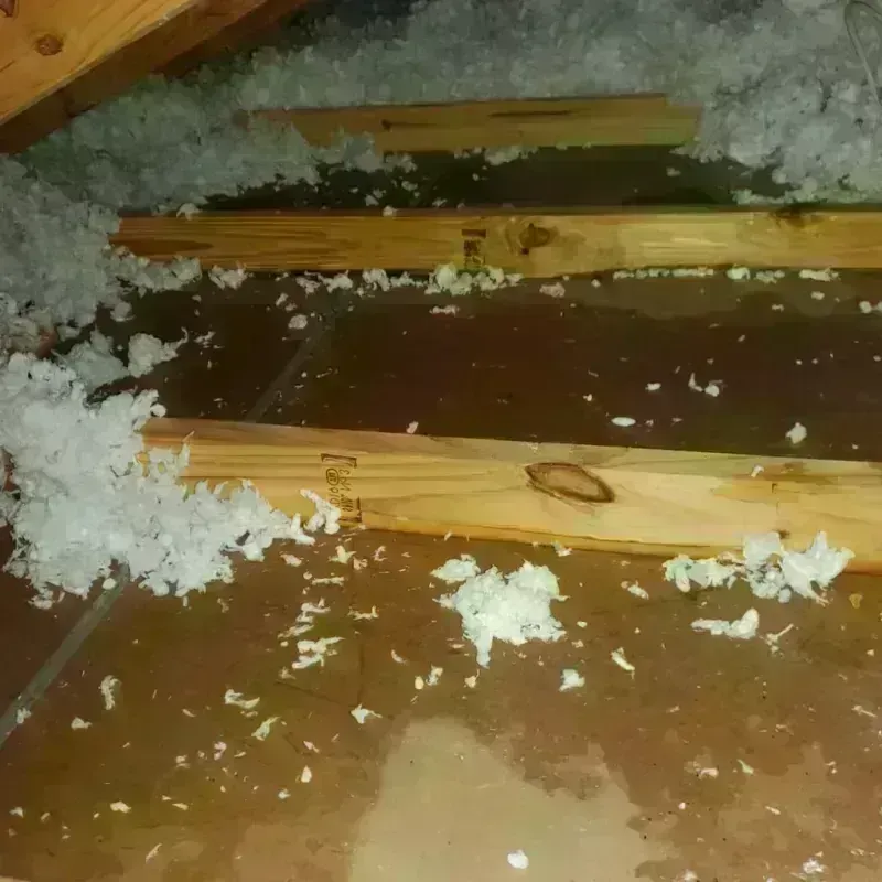 Attic Water Damage in West Brookfield, MA